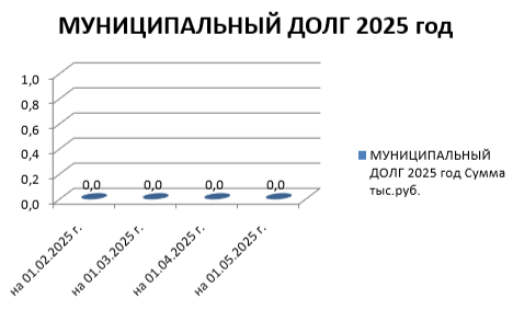Муниципальный-долг-2025 год.