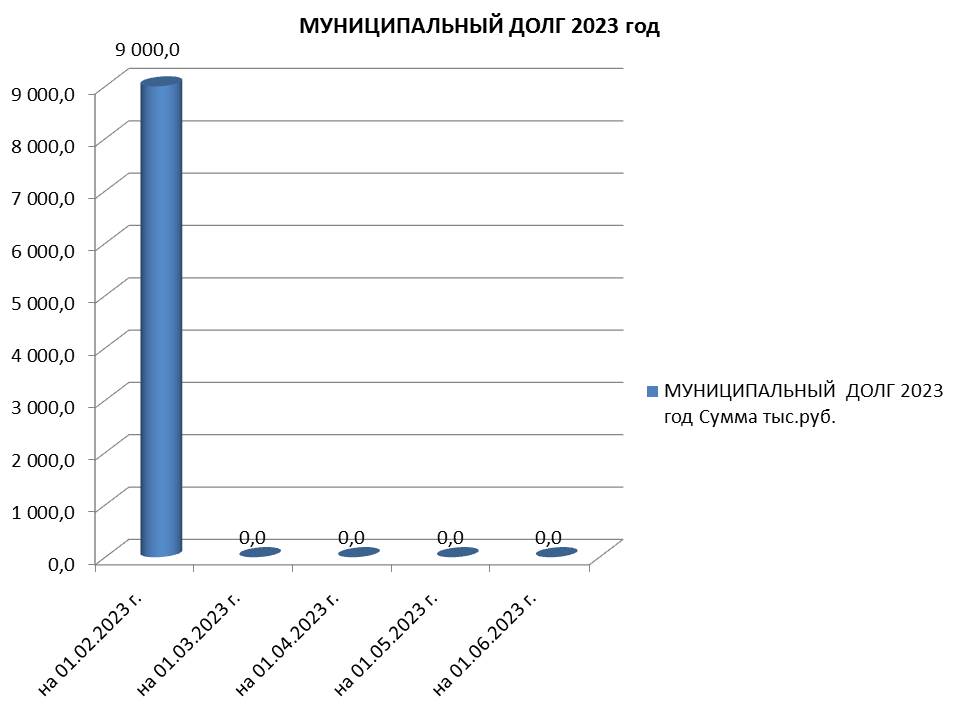 Муниципальный долг на 01.06.2023 г..