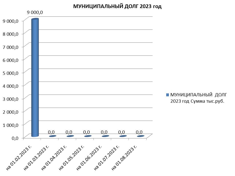 Муниципальный долг на 01.08.2023 г..