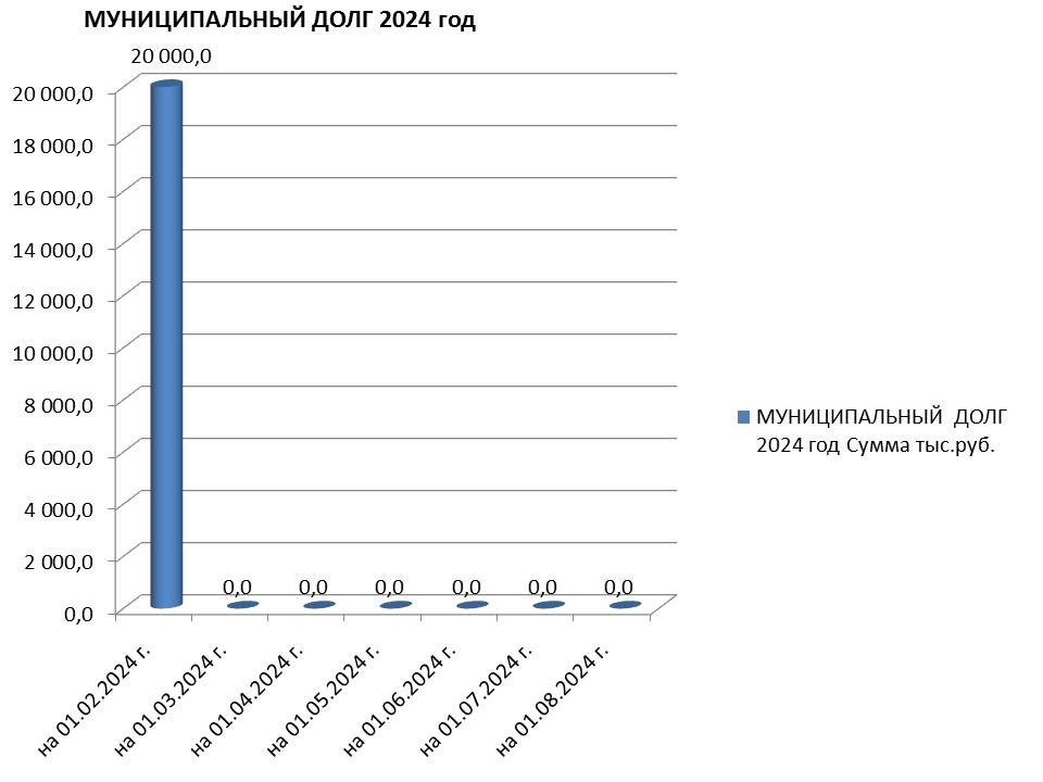 Муниципальный долг на 01.08.2024 г..