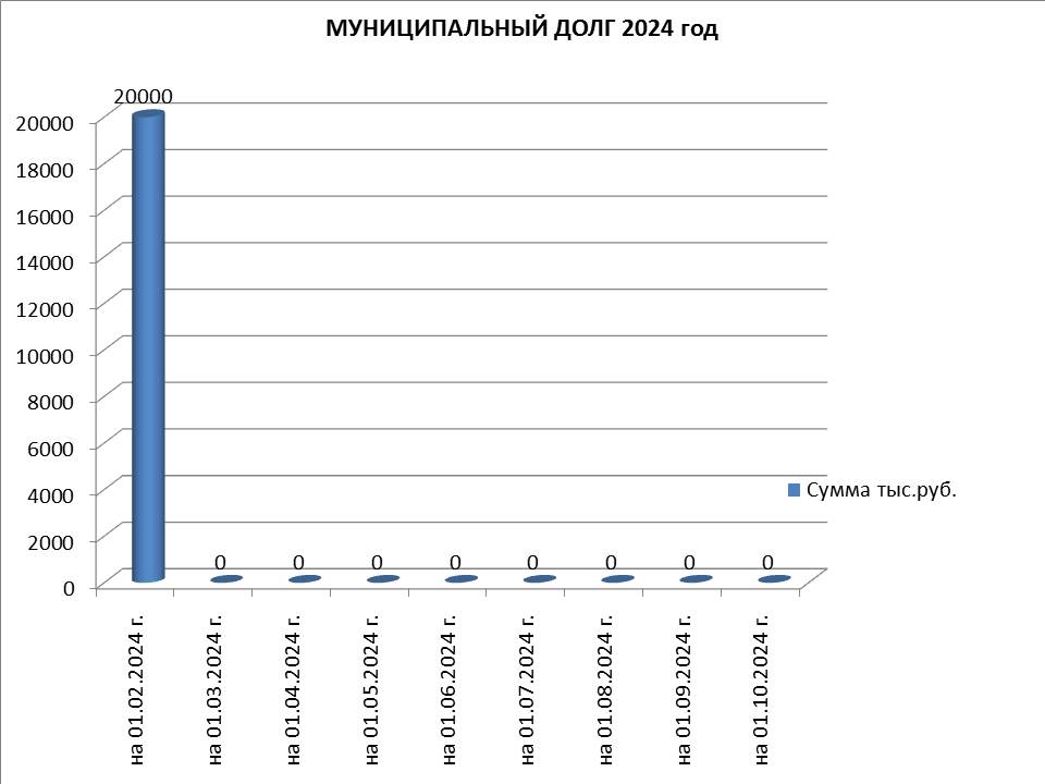 Муниципальный долг на 01.10.2024 г..