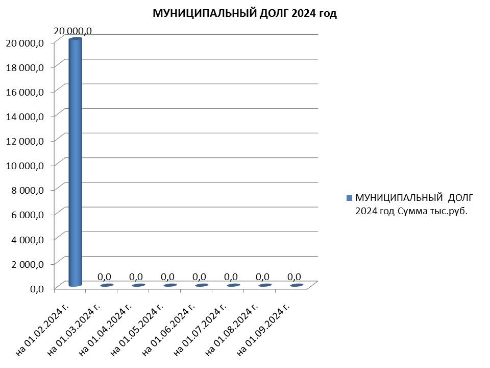 Муниципальный долг на 01.09.2024 г..