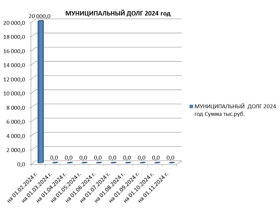 Муниципальный долг на 01.11.2024 г..