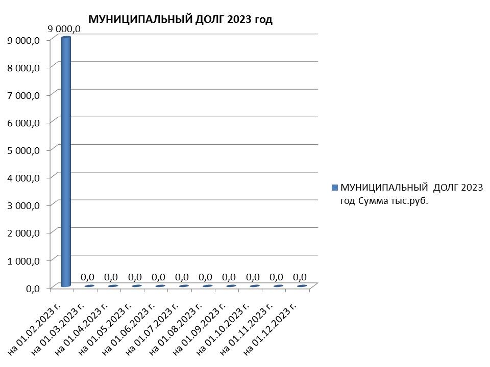 Муниципальный долг на 01.12.2023 г..