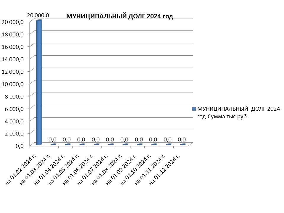 Муниципальный долг на 01.12.2024 г..