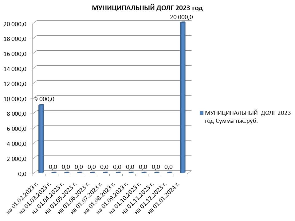 Муниципальный долг на 01.01.2024 г..