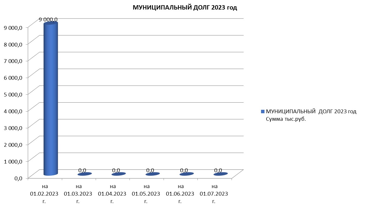 Муниципальный долг на 01.07.2023 г..