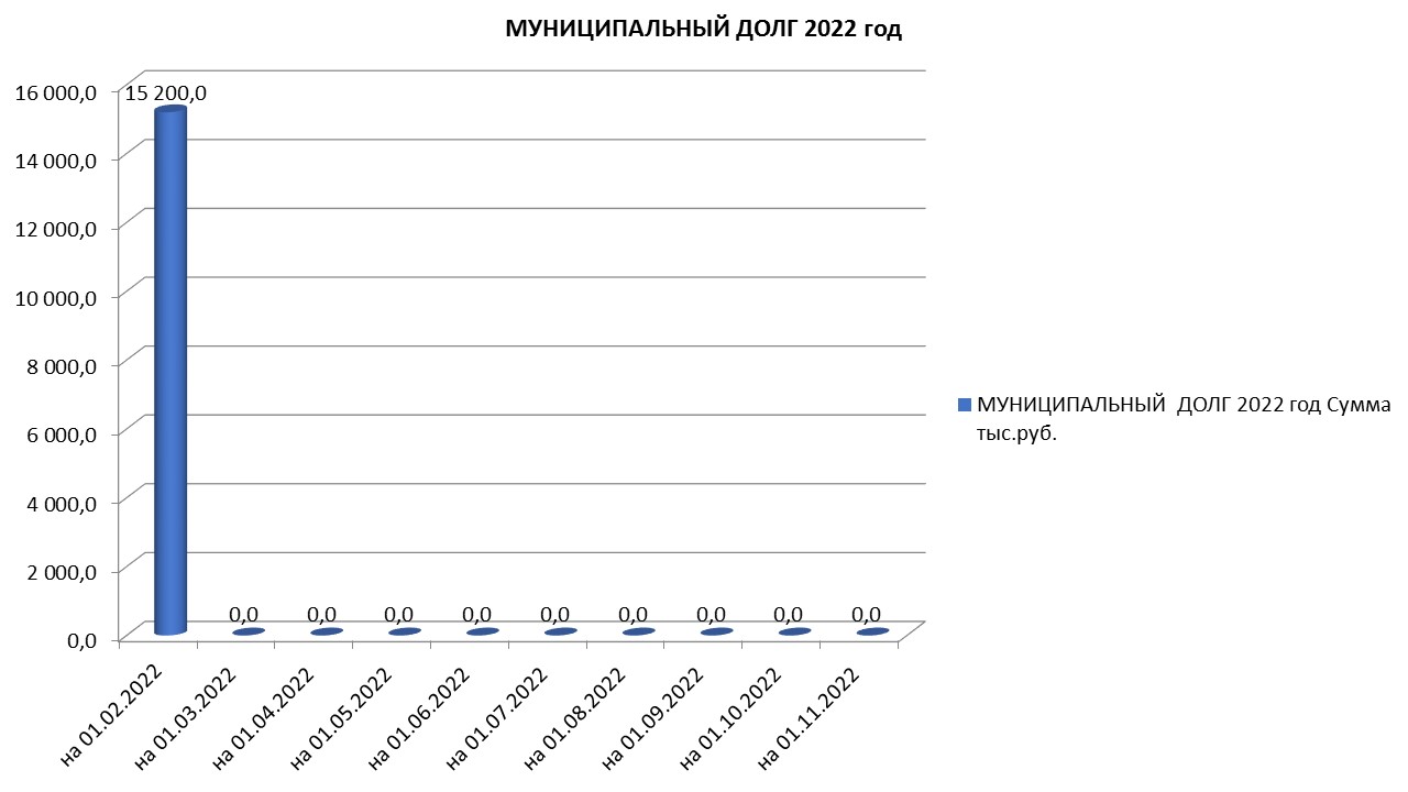 Муниципальный долг на 01.11.2022 г..