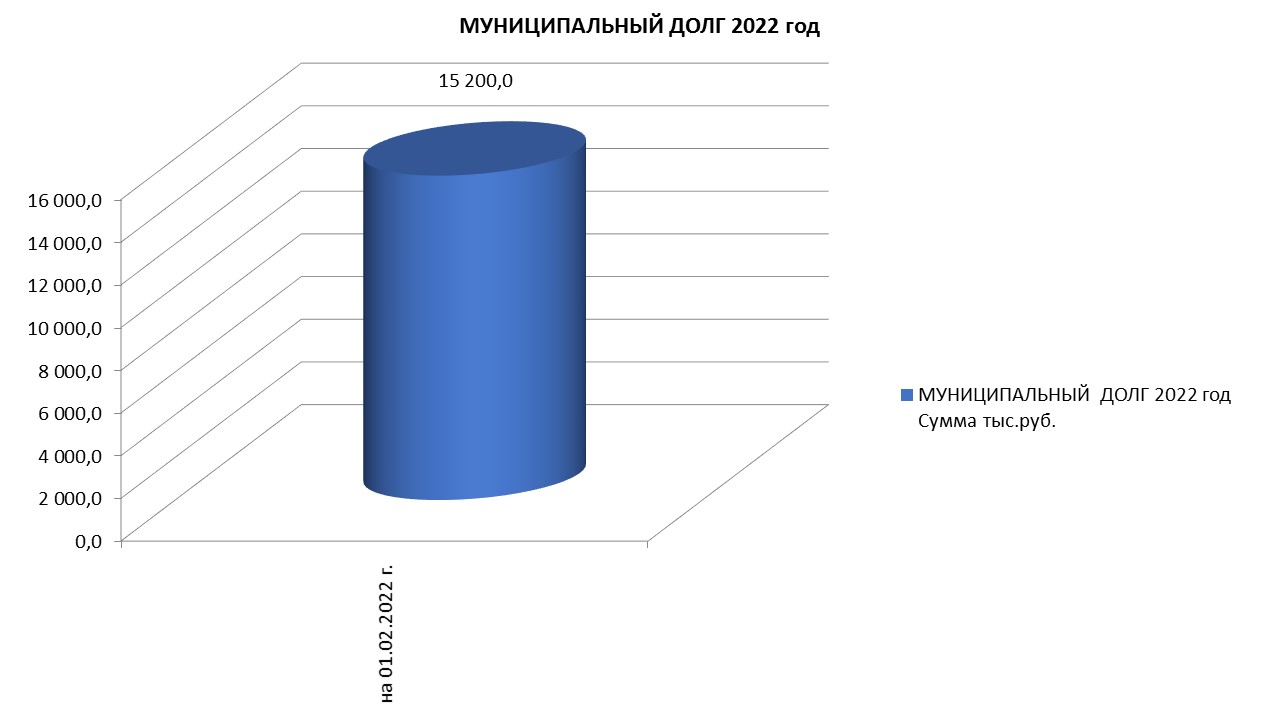 Муниципальный долг на 01.02.2022 г..