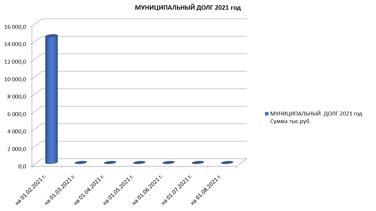 Муниципальный долг на 01.08.2021 г..