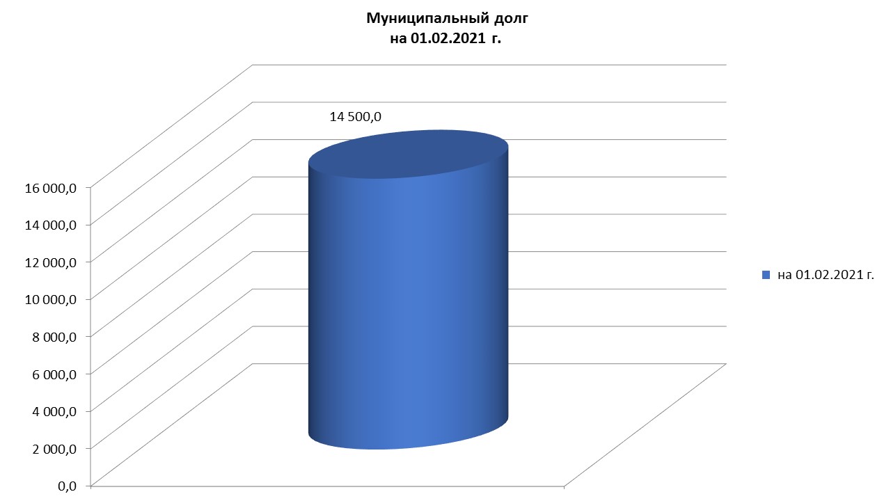 Муниципальный долг на 01.02.2021 г..