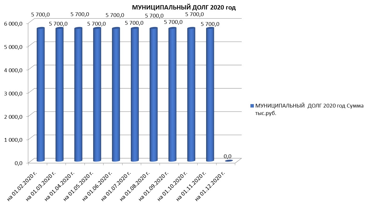 Муниципальный долг на 01.12.2020 г..