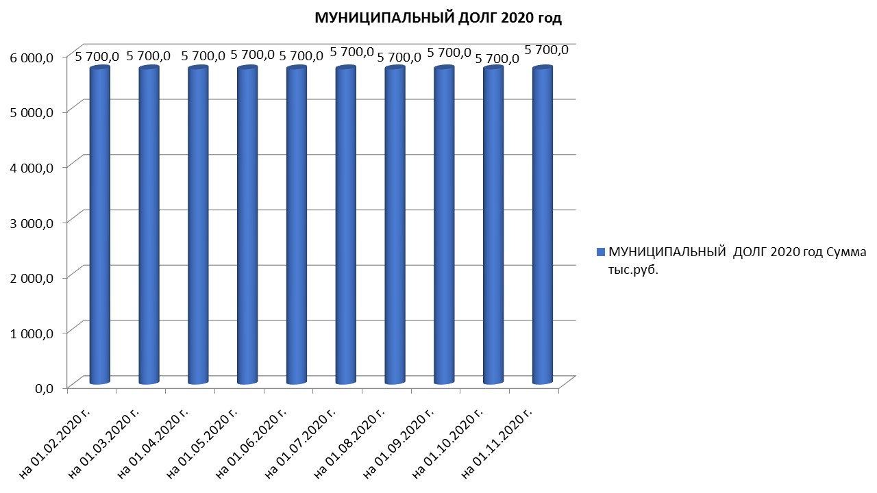 Муниципальный долг на 01.11.2020 г..