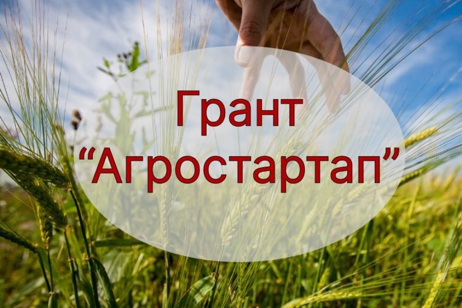 Отбор получателей грантов «Агростартап».