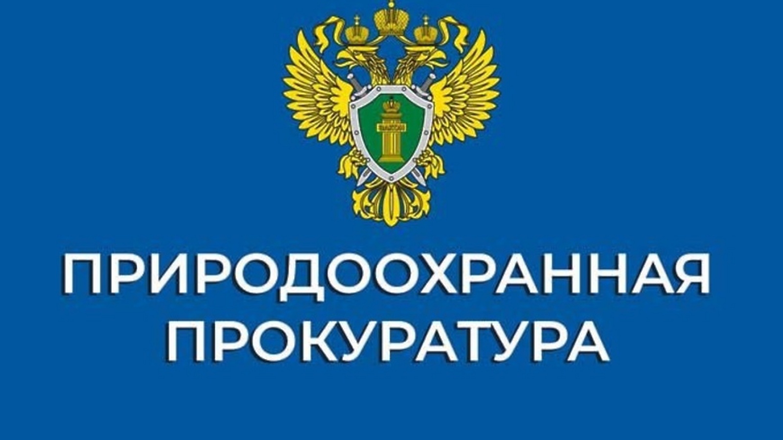 Красноярская природоохранная прокуратура информирует.