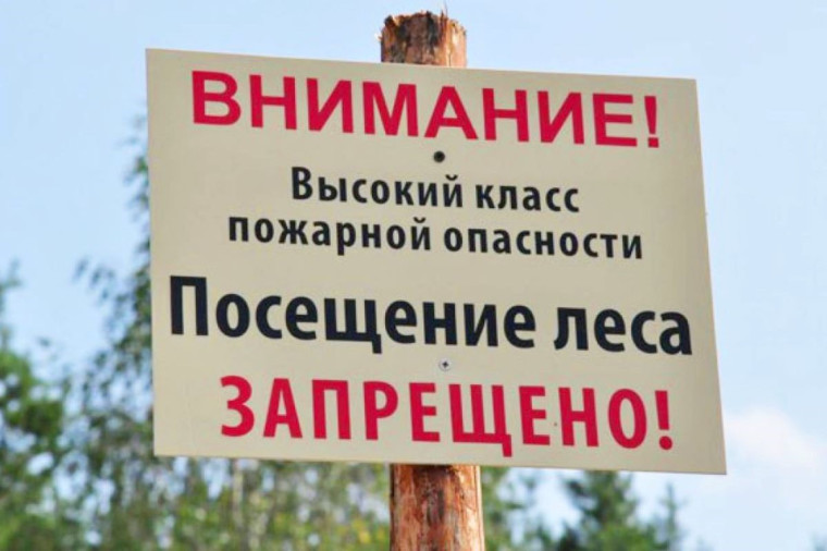Памятка по запрету посещения леса. Памятка по запрету посещения леса.